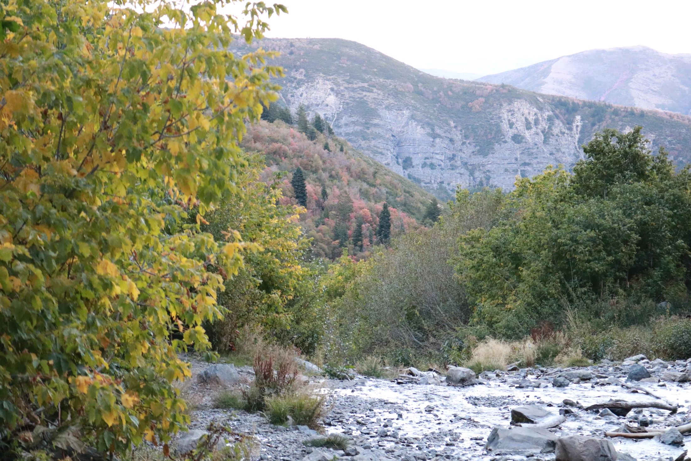 A mountain stream winding through the trees below a Utah ridgeline
